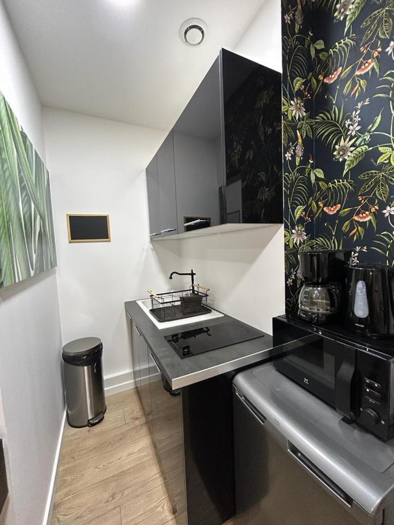 Stylish Modern Studio Apartment Париж Екстер'єр фото